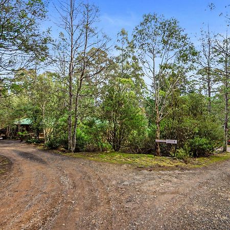Cradle Forest Inn Moina Εξωτερικό φωτογραφία