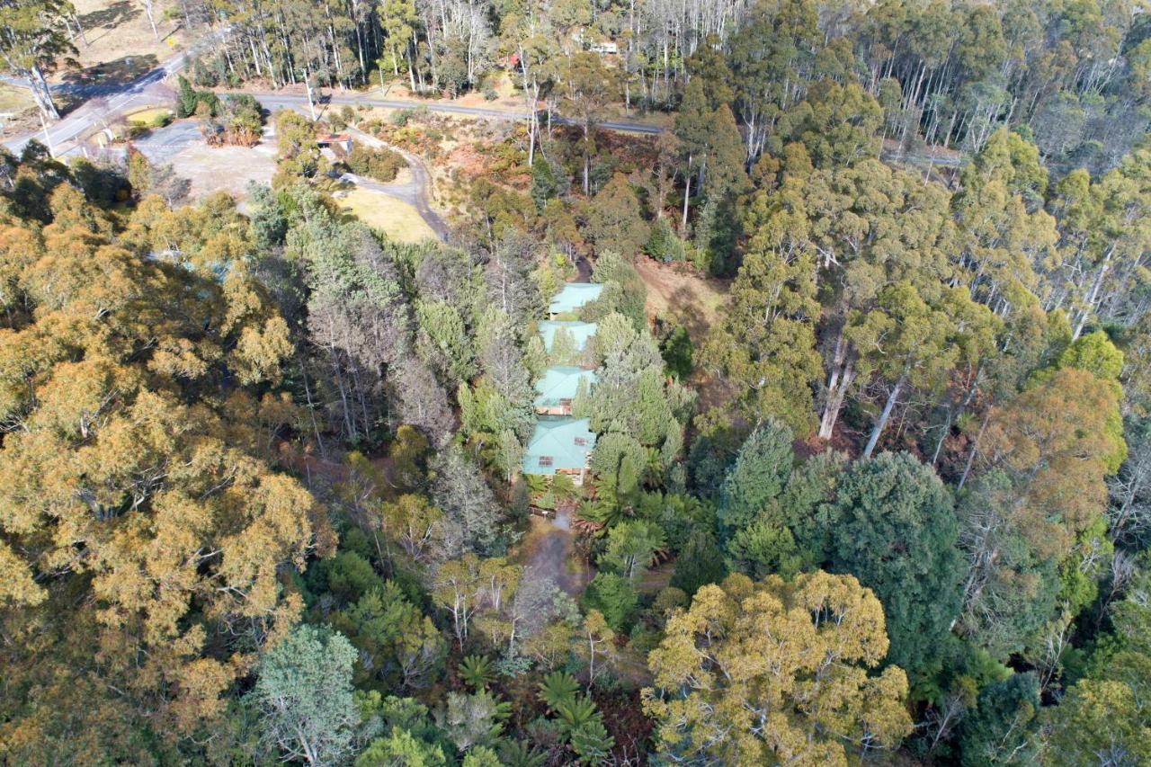Cradle Forest Inn Moina Εξωτερικό φωτογραφία