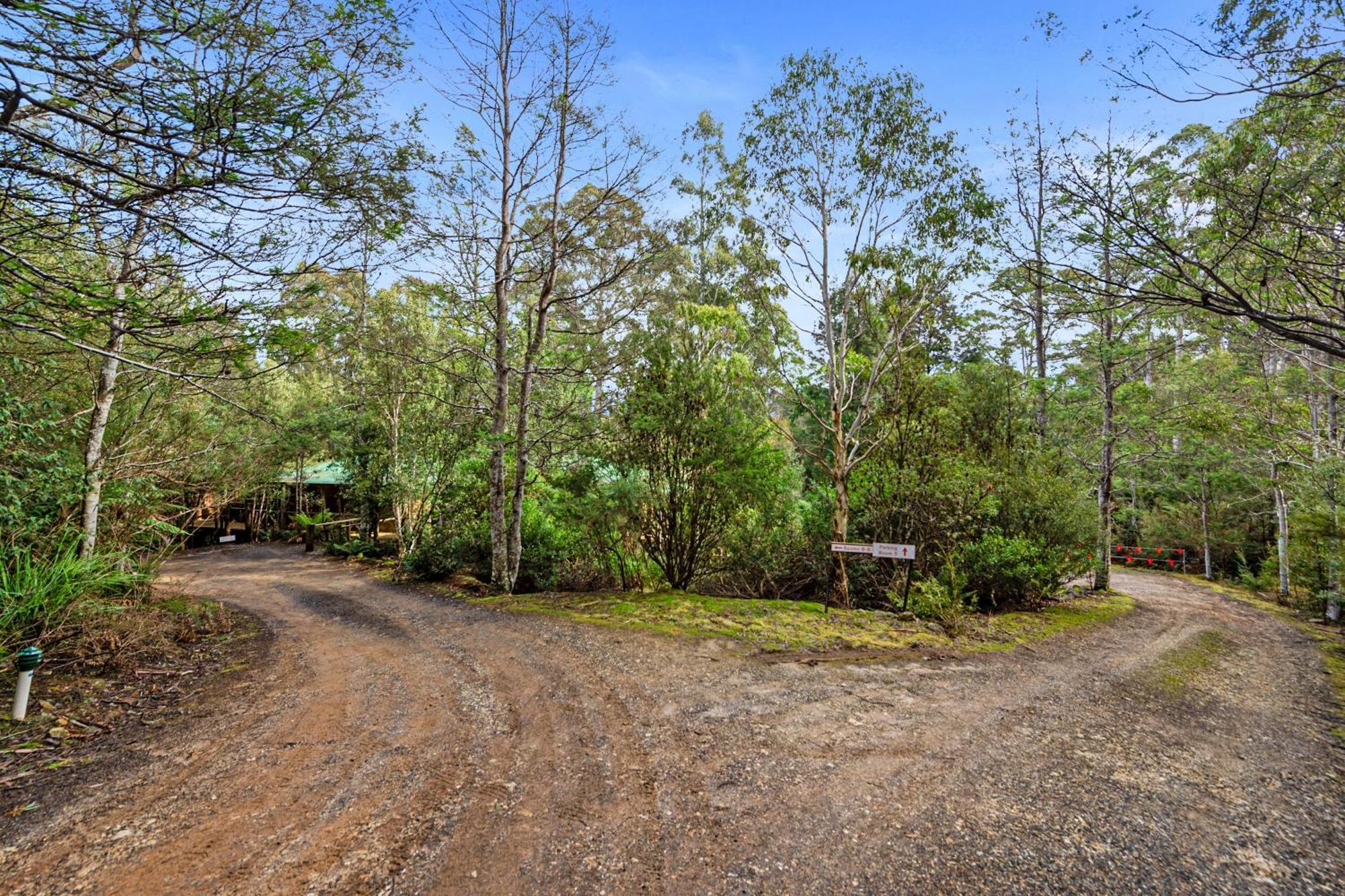 Cradle Forest Inn Moina Εξωτερικό φωτογραφία