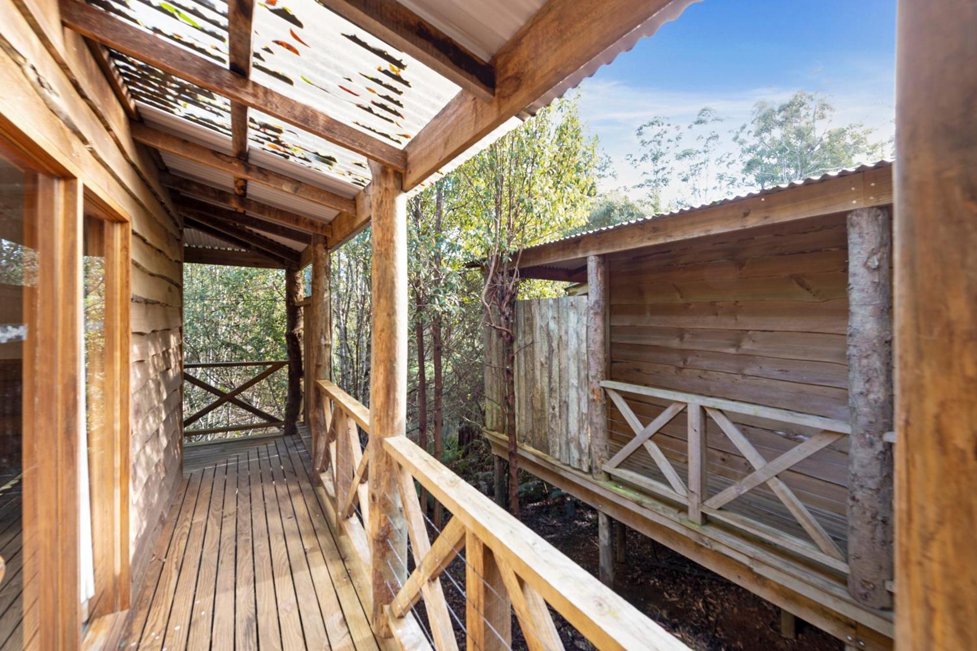 Cradle Forest Inn Moina Εξωτερικό φωτογραφία