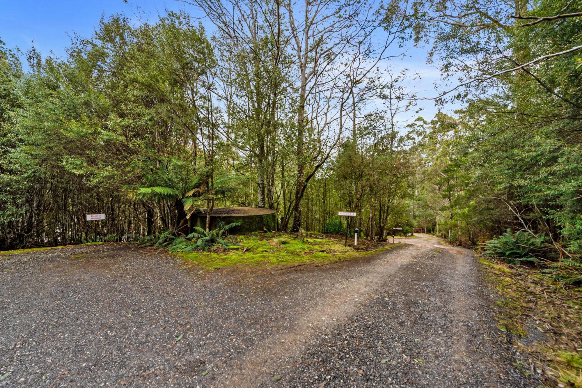 Cradle Forest Inn Moina Εξωτερικό φωτογραφία