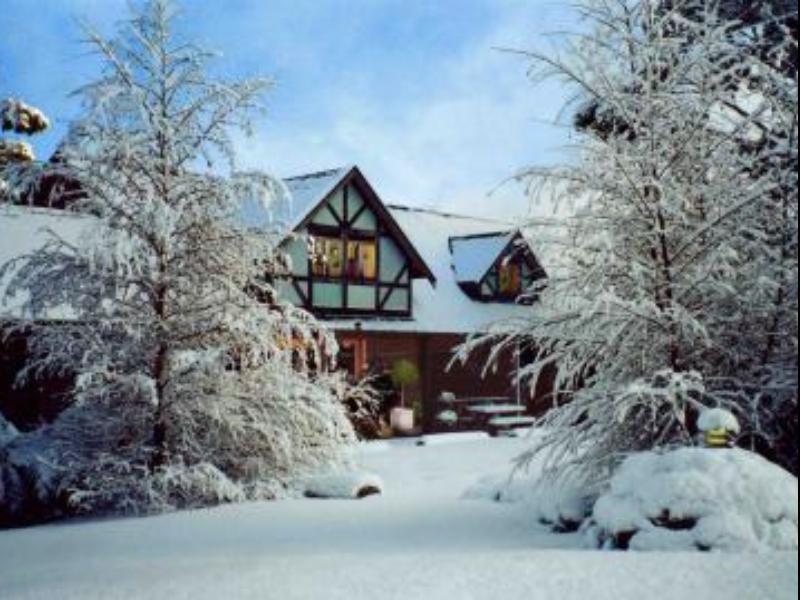 Cradle Forest Inn Moina Εξωτερικό φωτογραφία