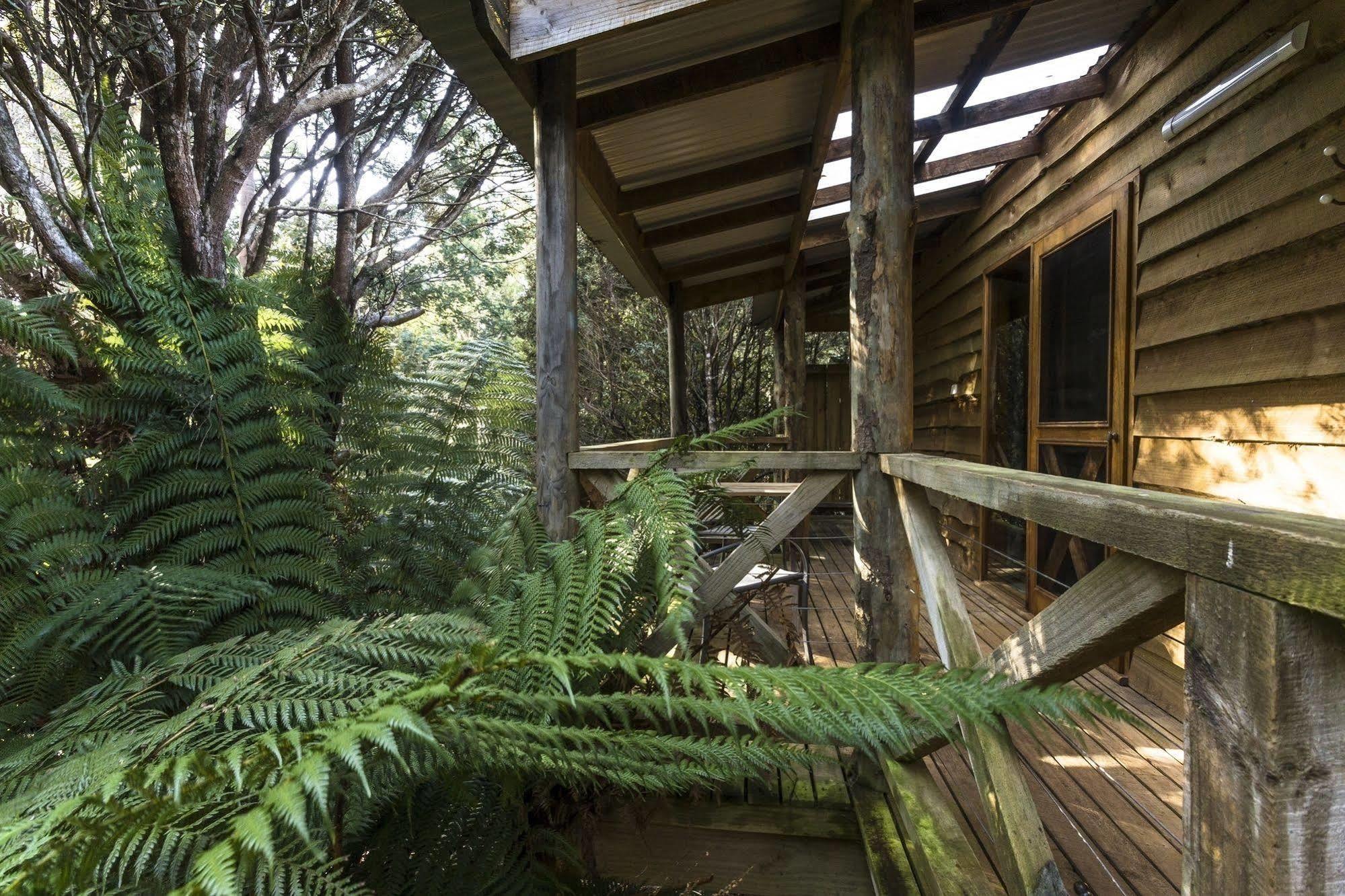 Cradle Forest Inn Moina Εξωτερικό φωτογραφία