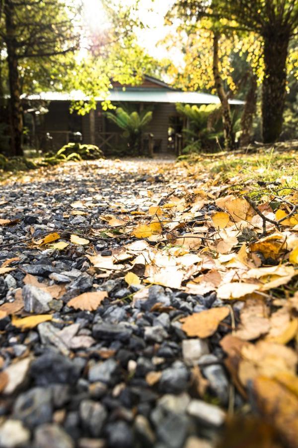 Cradle Forest Inn Moina Εξωτερικό φωτογραφία