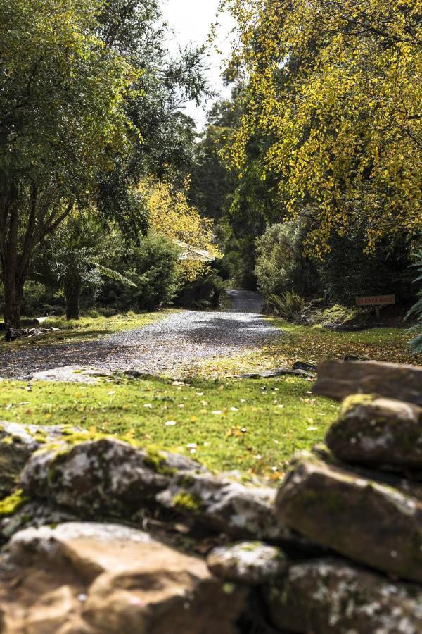 Cradle Forest Inn Moina Εξωτερικό φωτογραφία
